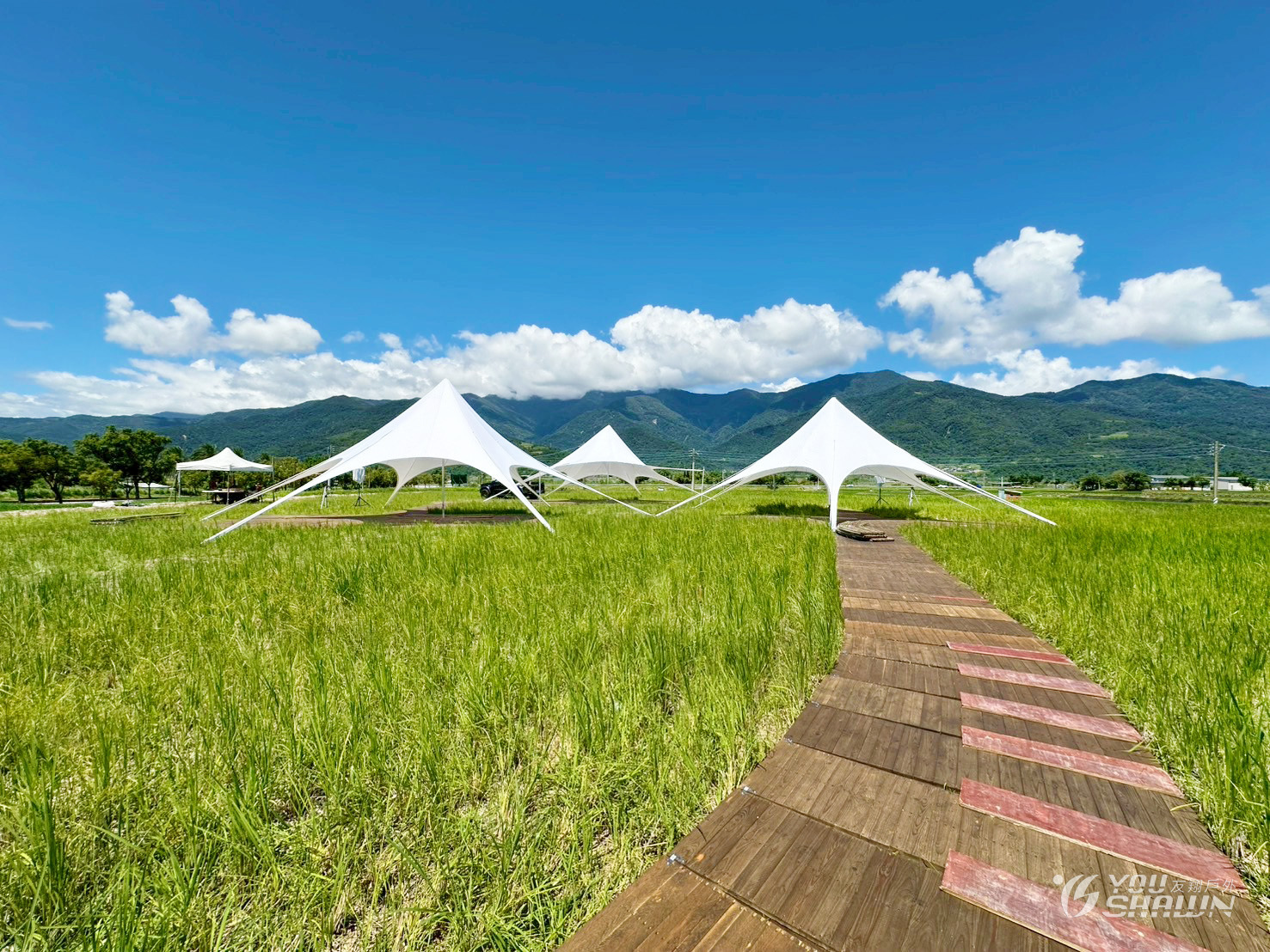 LINE_ALBUM_2015829花東縱谷園遊會_250829_6