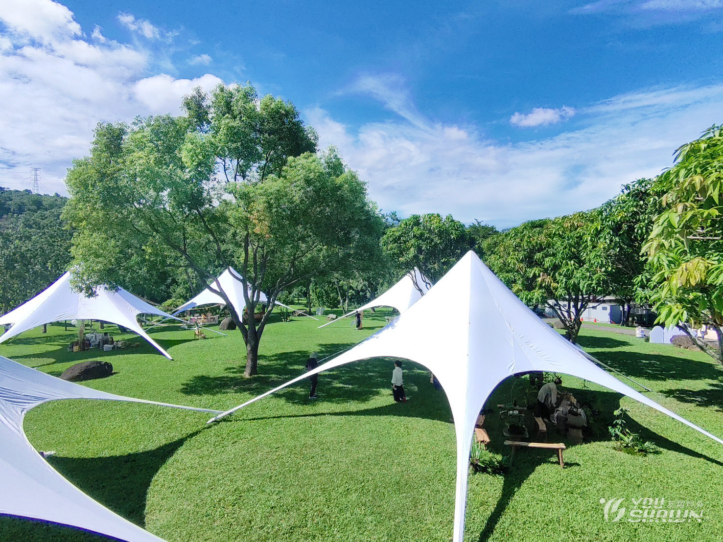 LINE_ALBUM_919 嘉義茶空間四季巡禮-17006 進_250922_36