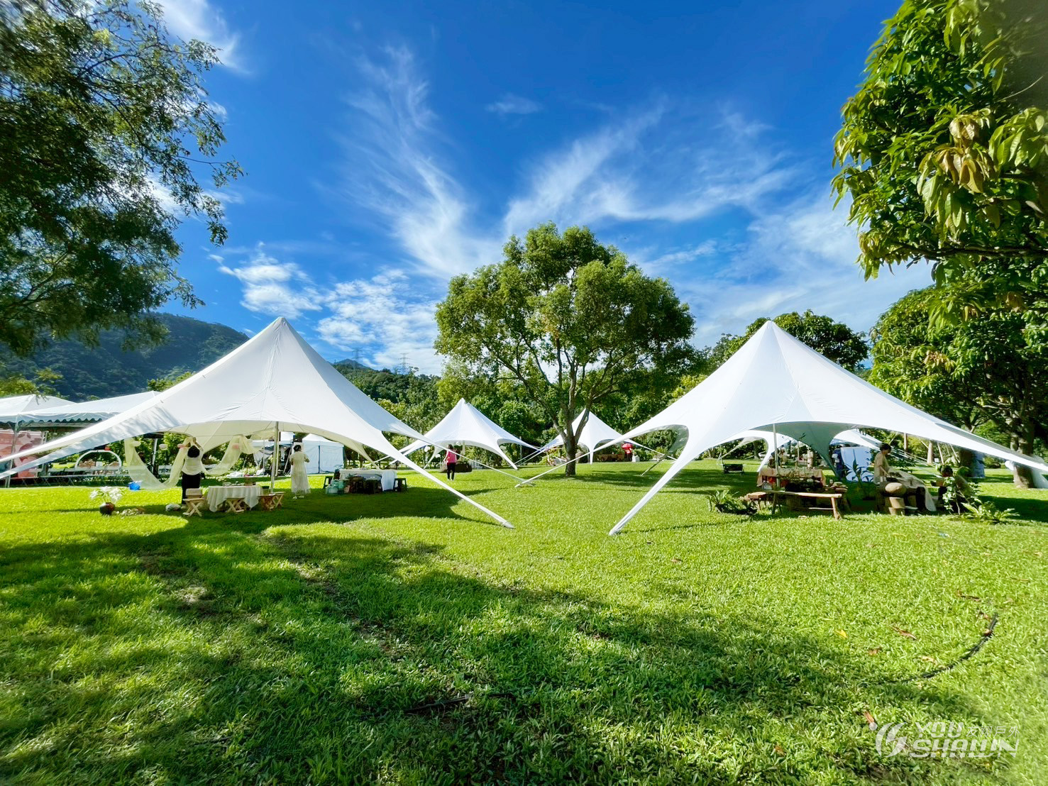 LINE_ALBUM_919 嘉義茶空間四季巡禮-17006 進_250922_2