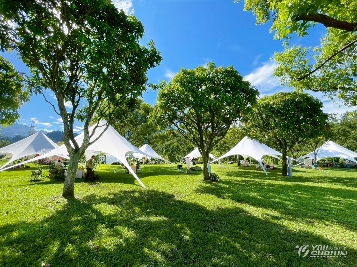 LINE_ALBUM_919 嘉義茶空間四季巡禮-17006 進_250922_5