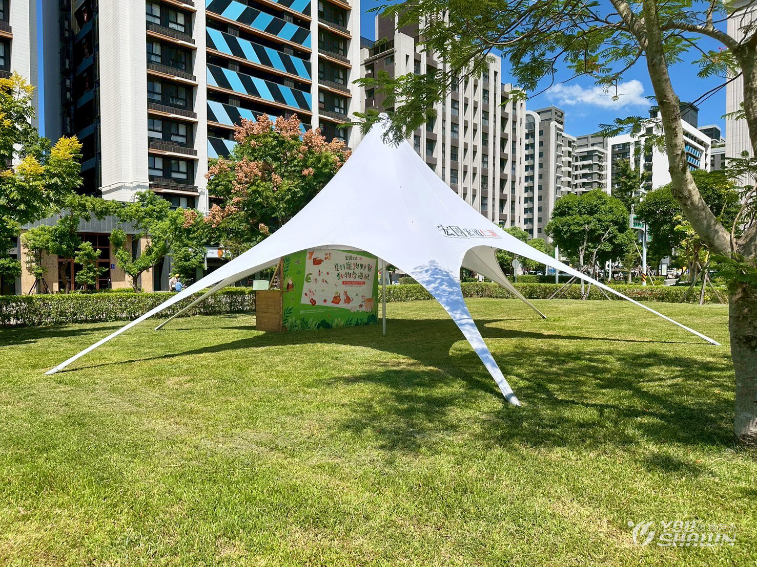 LINE_ALBUM_橄欖樹13+棧板_251007_6