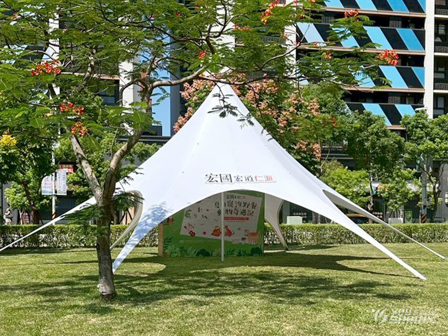 LINE_ALBUM_橄欖樹13+棧板_251007_7