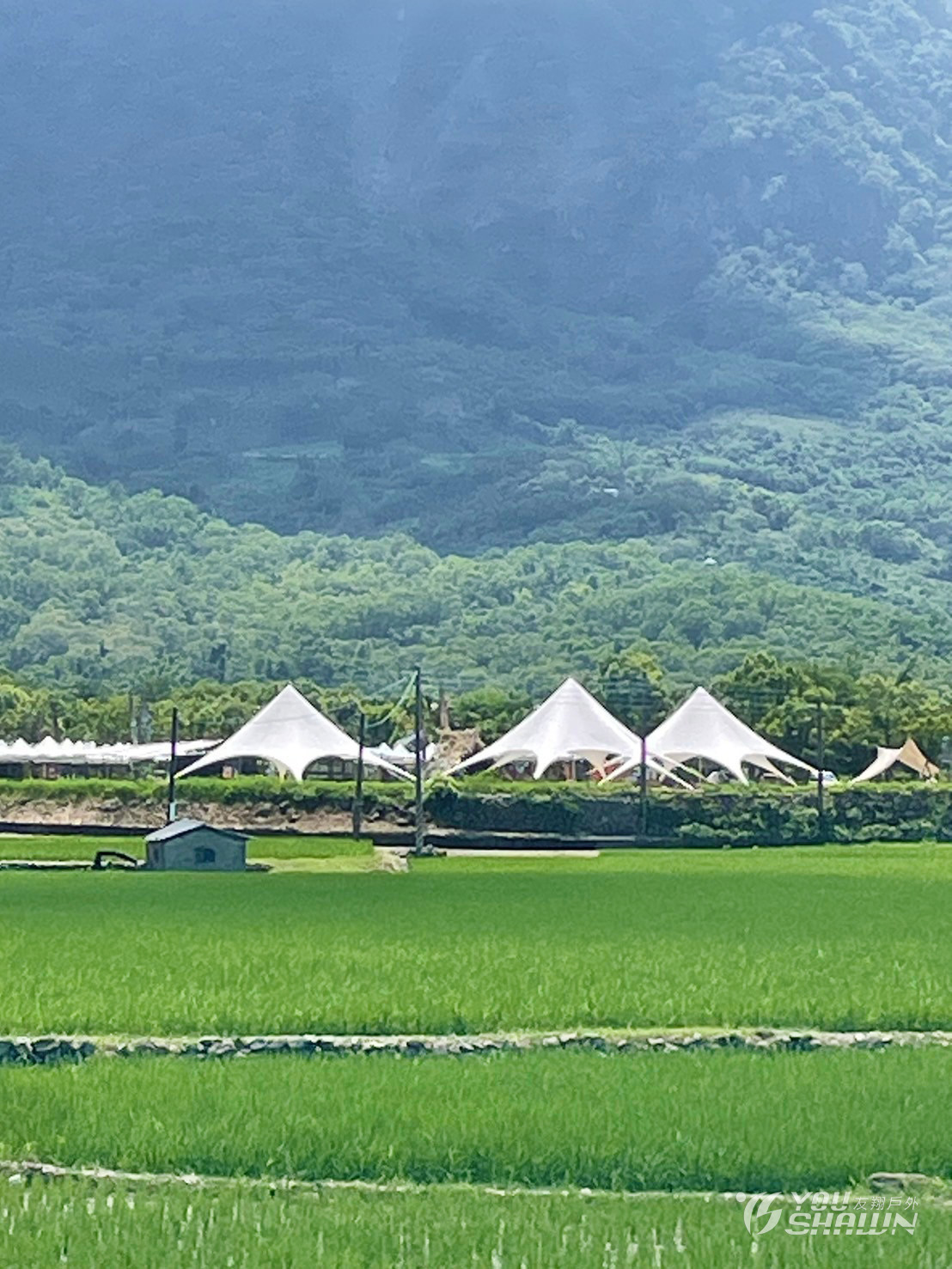 LINE_ALBUM_花東縱谷（羅山管理站）進17003_240905_5