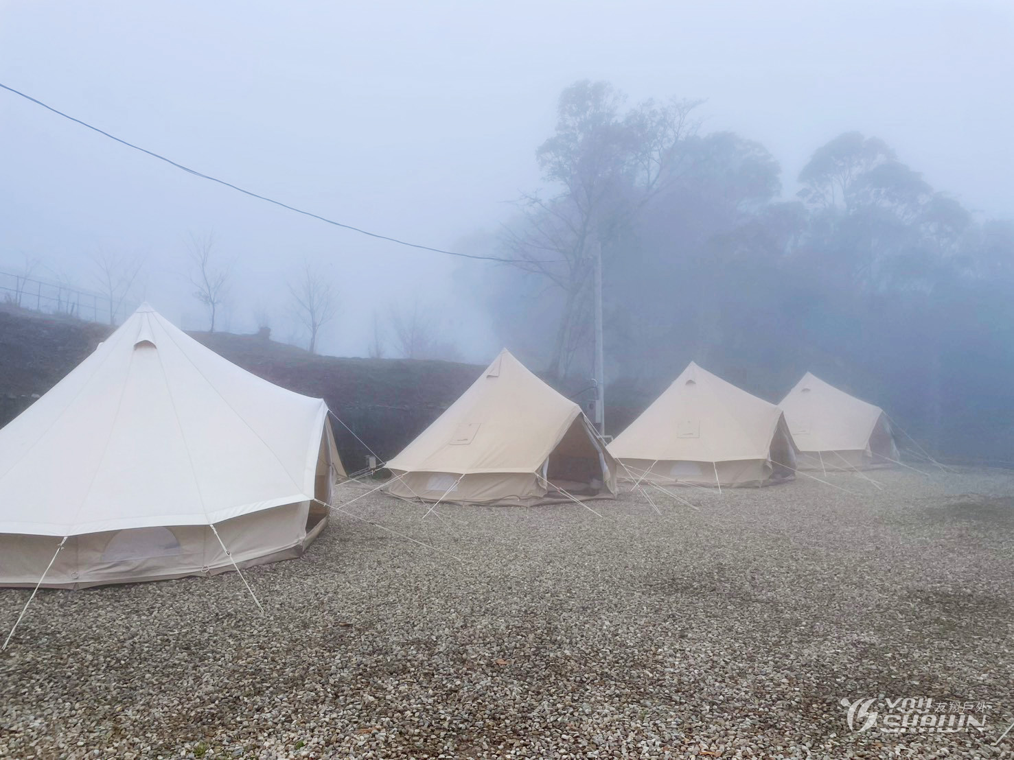 LINE_ALBUM_1227 雲霧豪露 進_251230_9