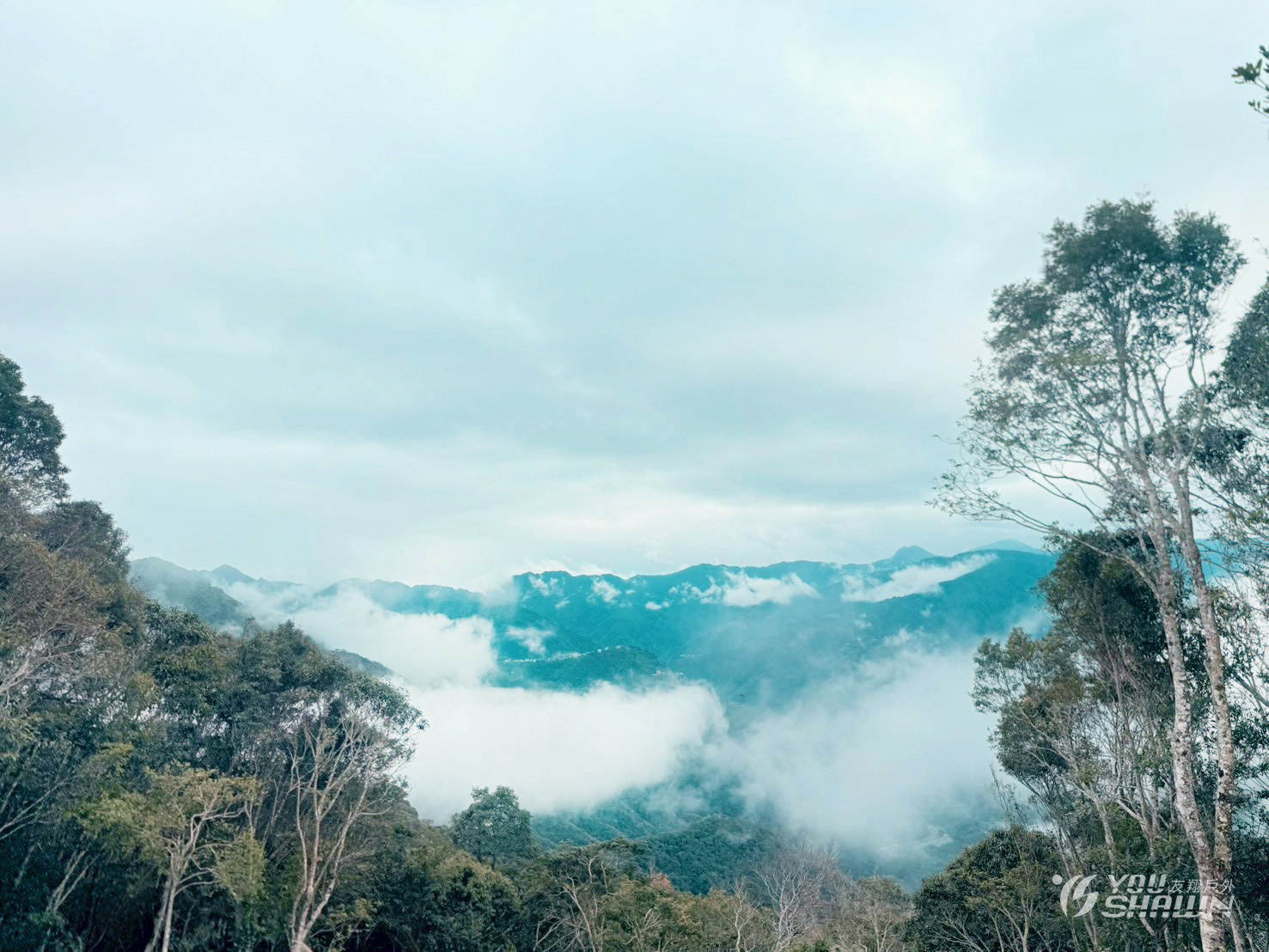 LINE_ALBUM_1227 雲霧豪露 進_251230_15