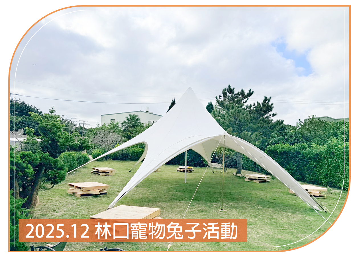 2025.12.06 林口寵物兔子活動