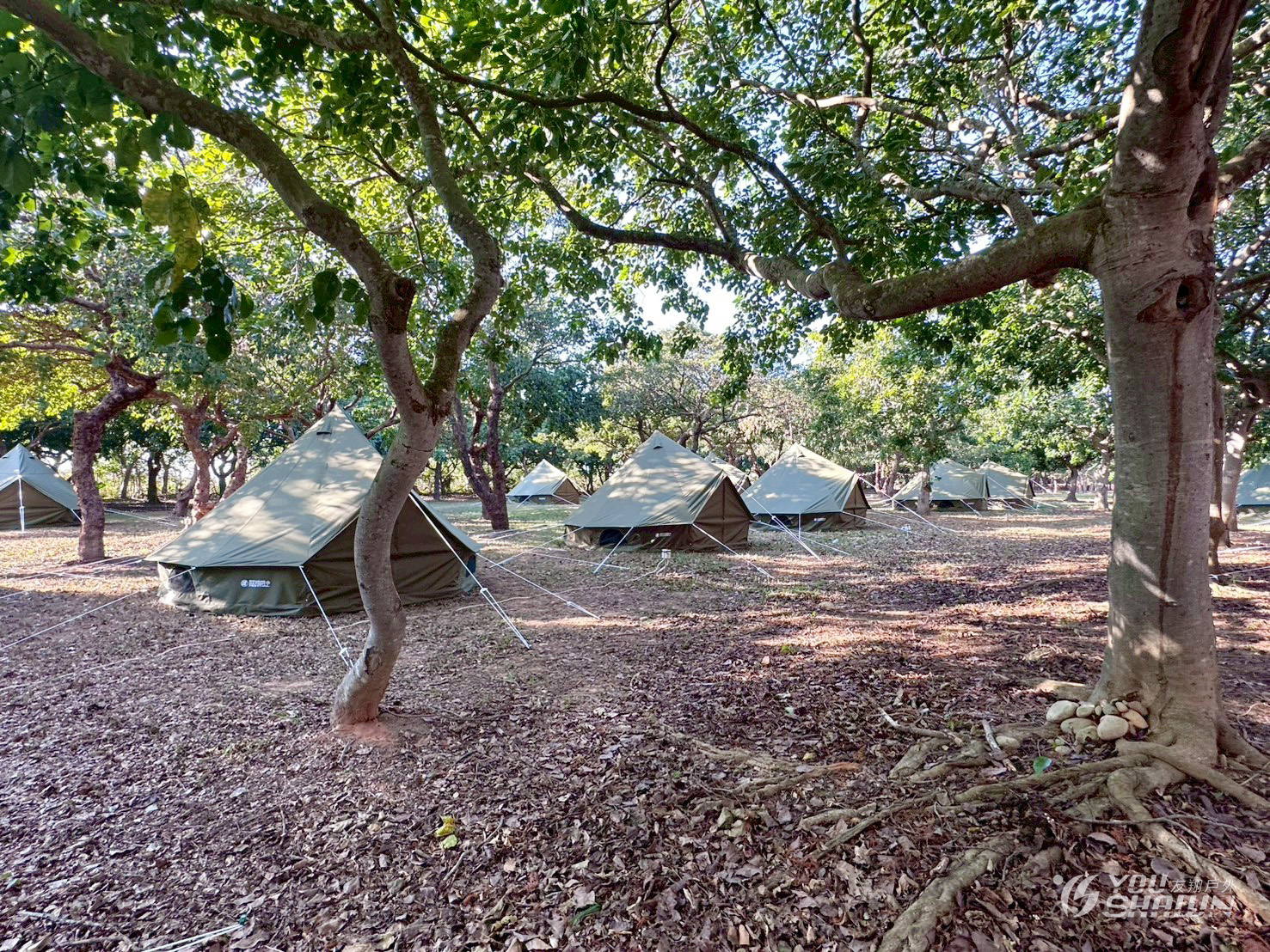 LINE_ALBUM_20251211 漂遊者森林音樂祭_251212_8