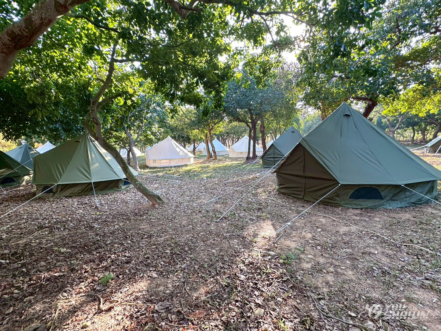 LINE_ALBUM_20251211 漂遊者森林音樂祭_251212_7