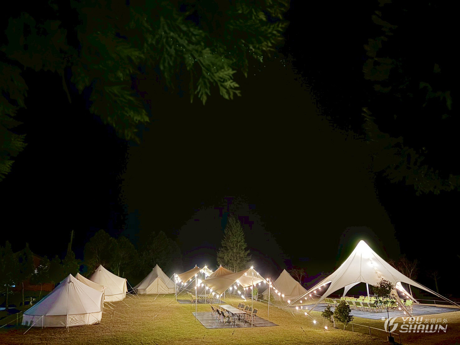 LINE_ALBUM_123雲霧豪露_260126_33