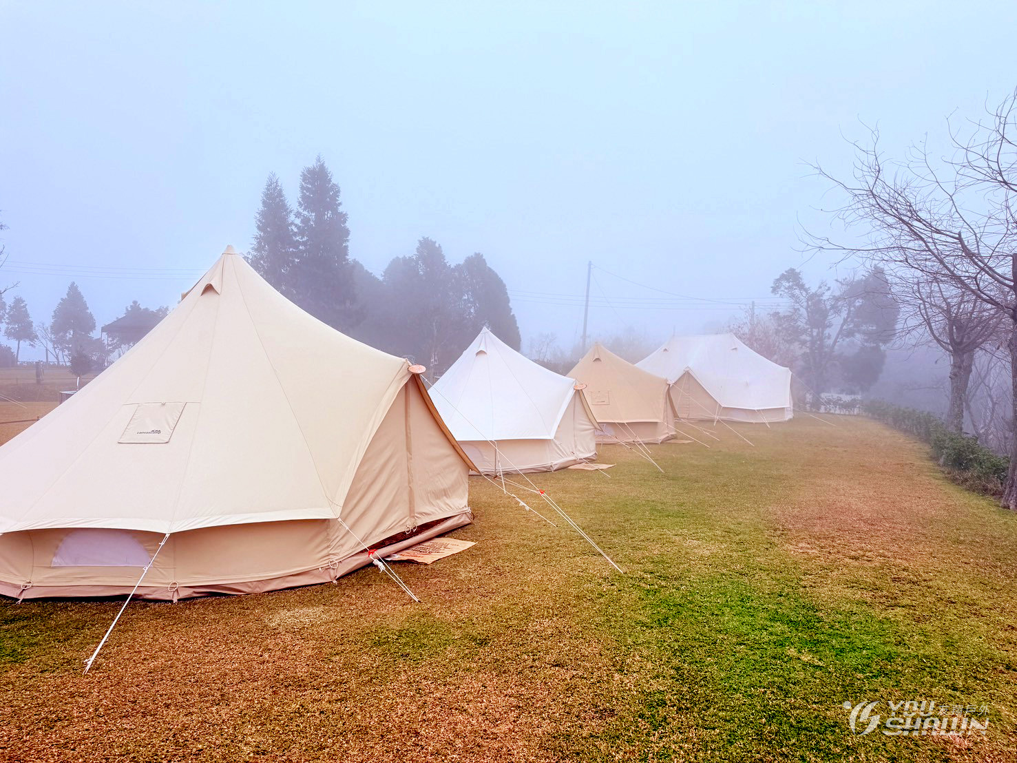 LINE_ALBUM_雲霧豪露-蔣大團露_260211_15