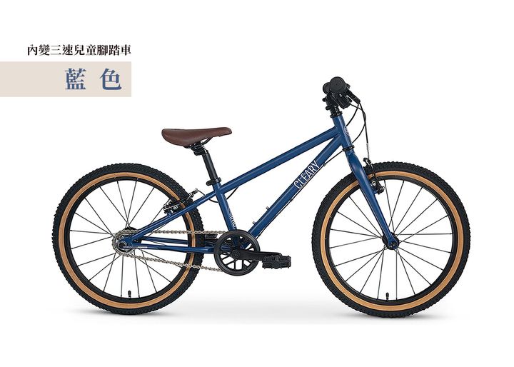 CLEARY BIKE 20-1