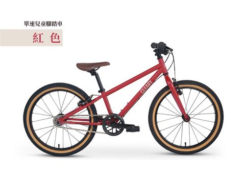 CLEARY BIKE 20單速-2