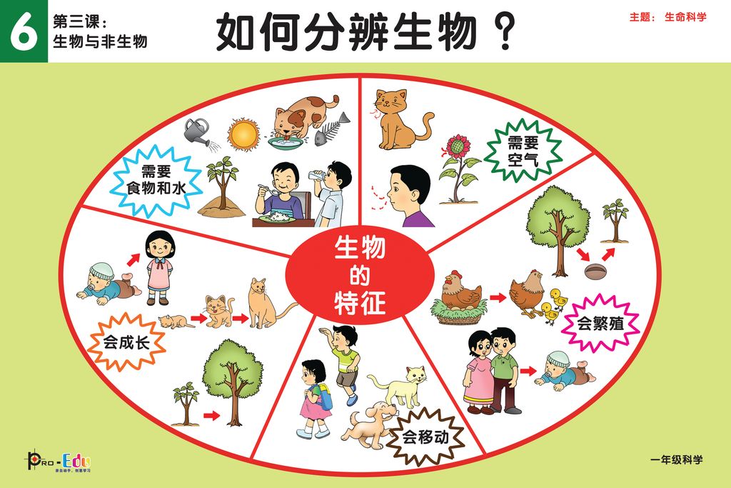 Pes 004 一年级科学挂图 Pro Edu Educational Material For Kids Parents And Teachers