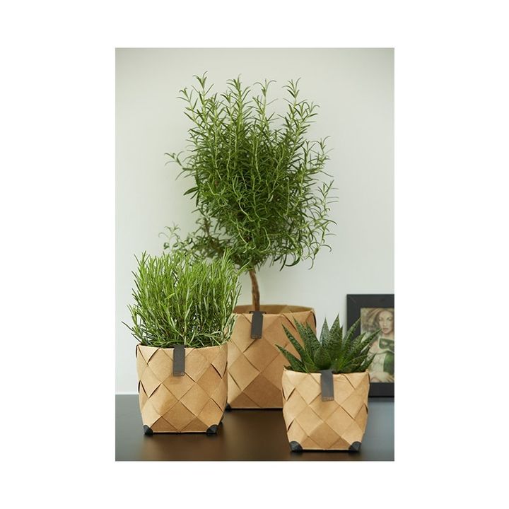 WBA natural ekstra.jpg