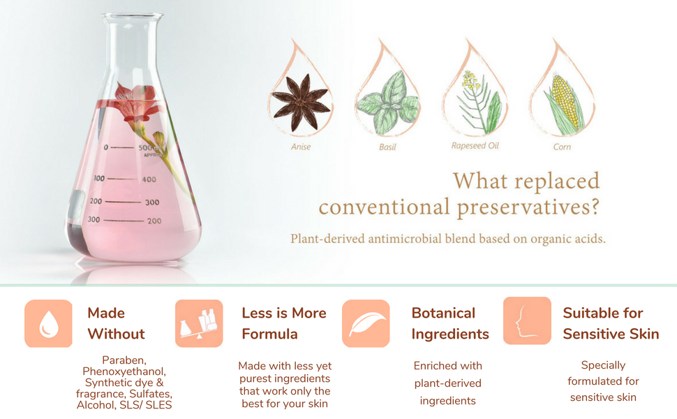 Active botanical ingredients_enlarged.jpg Active botanical ingredients_enlarged.jpg