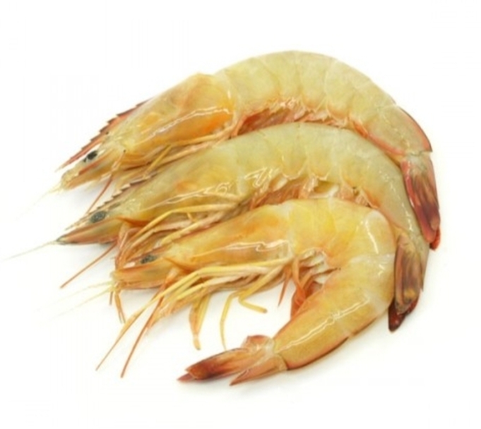  UDANG LAUT  SIZE L 1KG ayamkitafresh