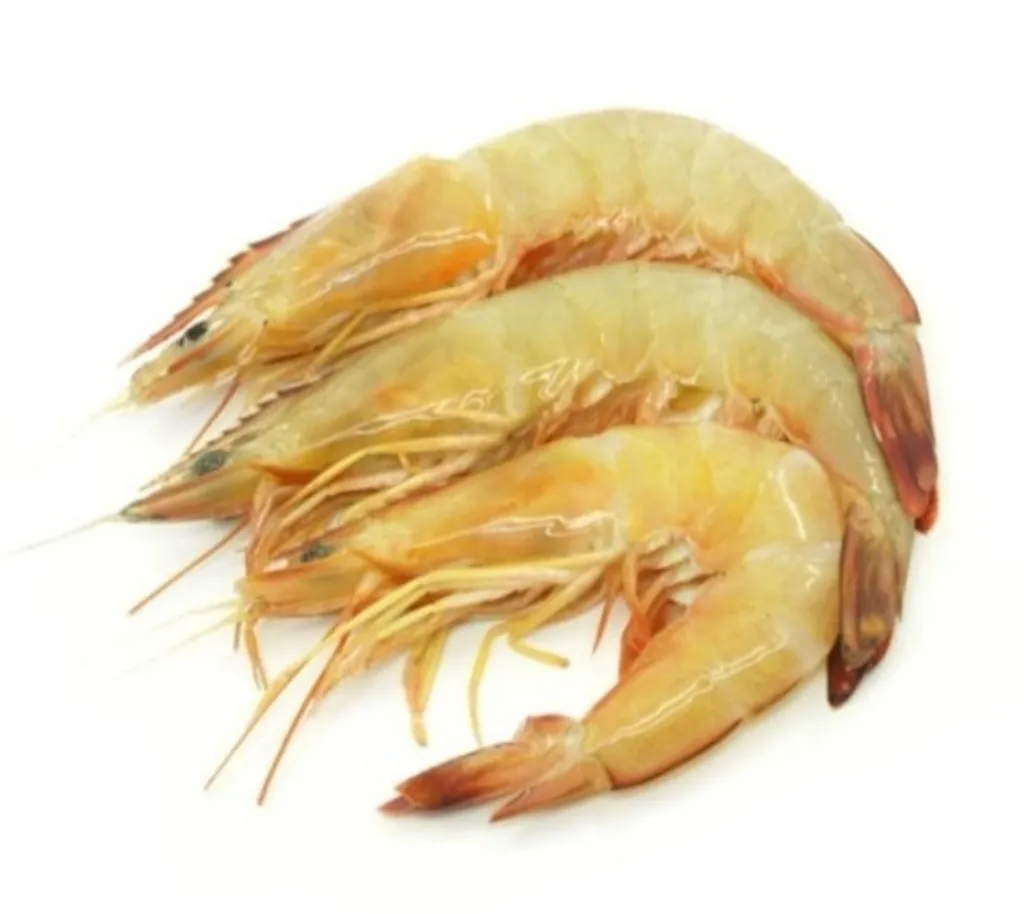 Harga Udang Pasar Borong Selangor