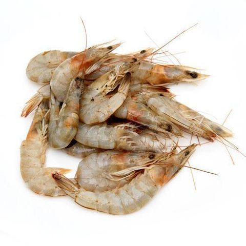 white-sea-prawn-500x500.jpg