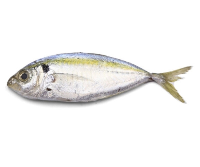 Ikan Selar Kuning (1KG) – Ayamkita Fresh Pasar Online