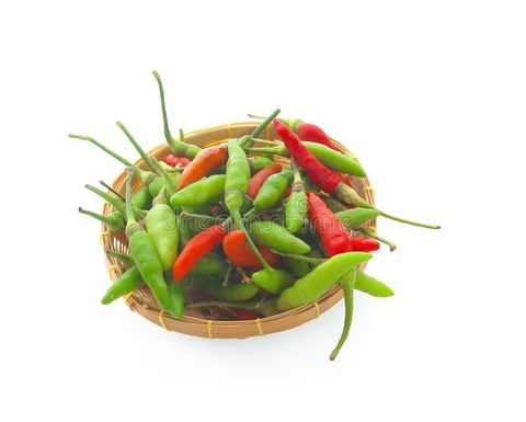 chilli-padi-bird-s-eye-thai-pepper-146056130.jpg