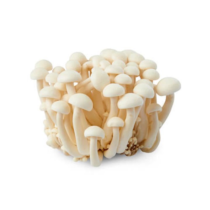 Mushroom_Shimeji_White.jpg