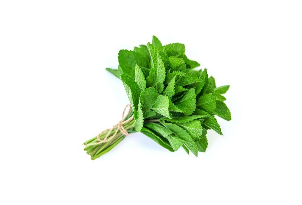 Daun-Pudina-Peppermint-scaled-1-1024x696.jpg