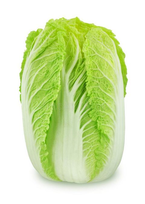 fresh-whole-chinese-cabbage-isolated-white-background-full-depth-field-173117270.jpg