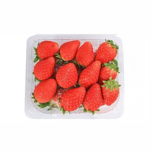 Korean-Strawberry-per-pack.jpg
