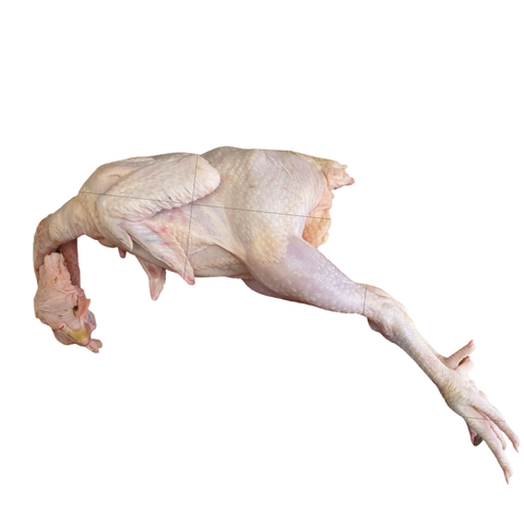 0001-18996339215_20210418_140333_0000.png