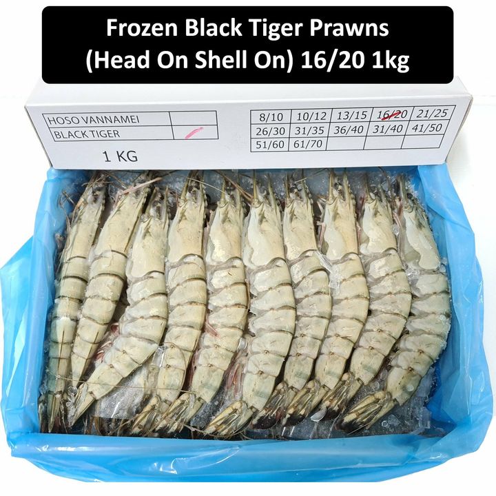 Frozen-Black-Tiger-Prawns-Head-On-Shell-On-16-20_1800x1800.jpg