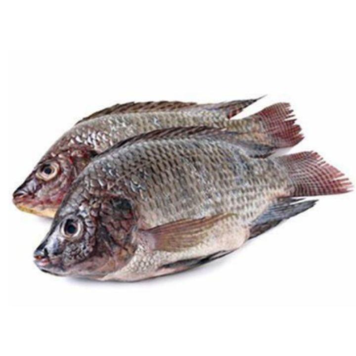 Untitled design (15).png