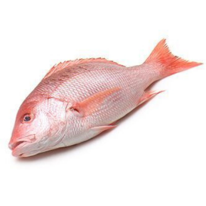 Untitled design (22).png