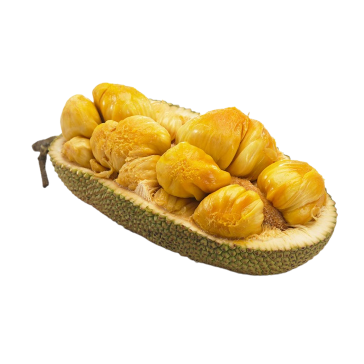 Untitled design (8).png