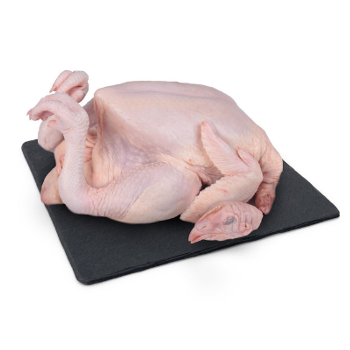 Untitled design (12).png