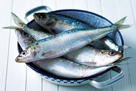 ikan-sarden-_150224151105-546