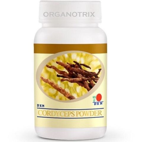 cordyceps powder.jpg