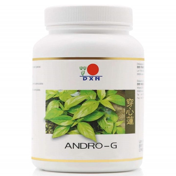 andro g.jpg