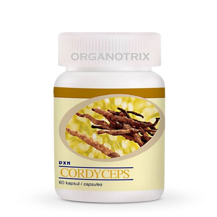 cordyceps capsule 60.jpg