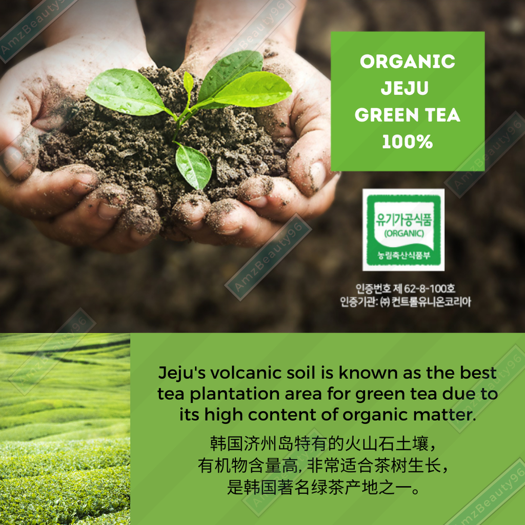 TEAZEN Organic Jeju Green Tea (1.2g x 40T_100T) 02.png