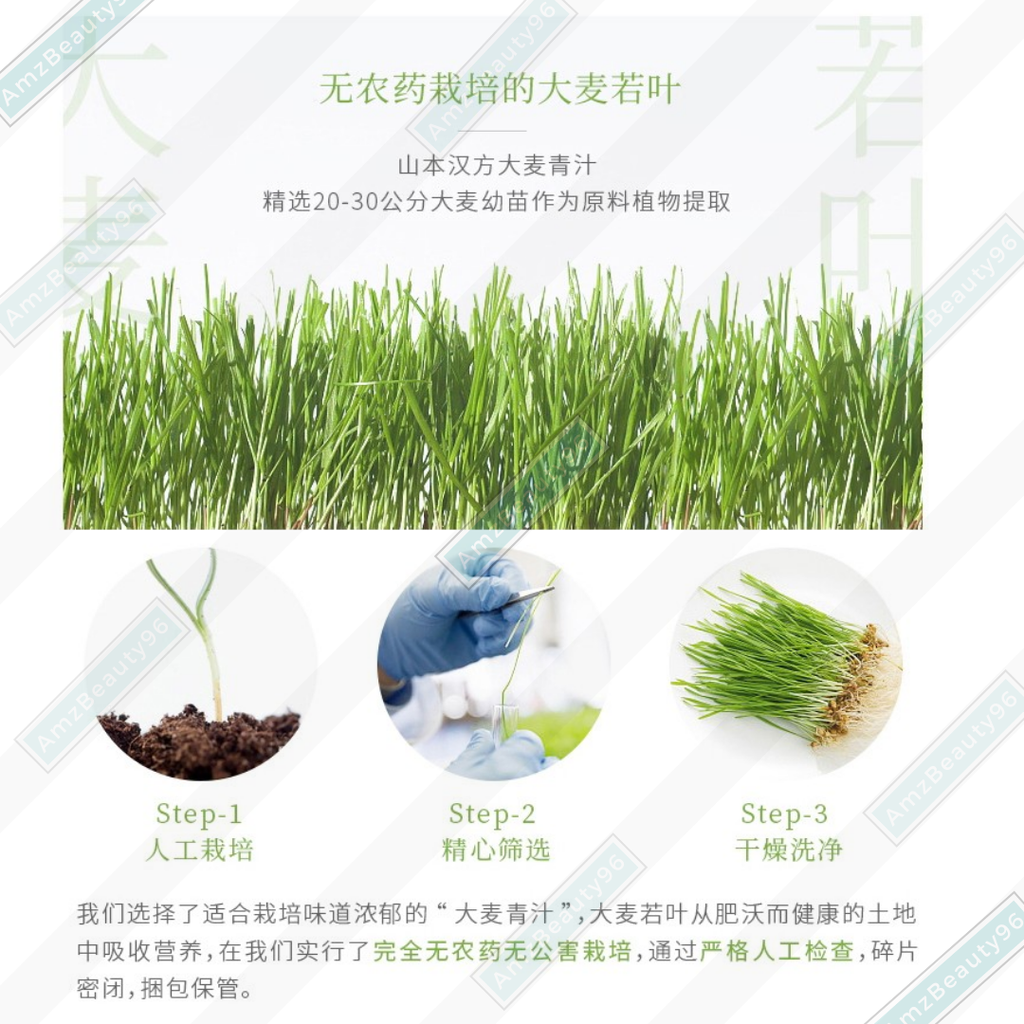 YAMAMOTO KANPOH Aojiru Young Barley Grass Powder 100% (3g x 44 sachets) 06.png