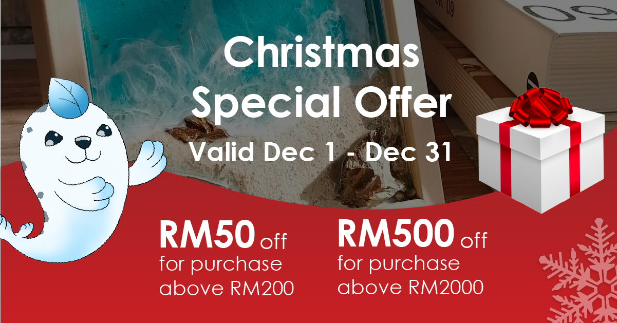 Christmas Special Offer