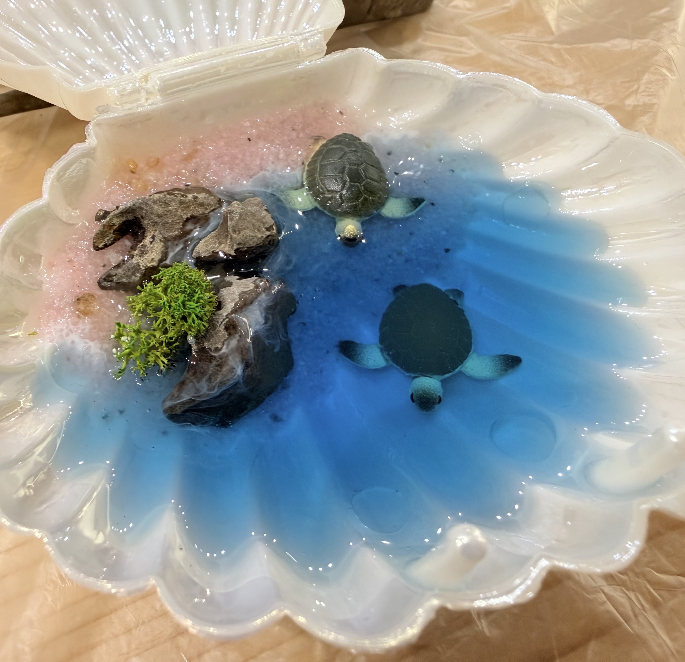 image_BEF48949-12F7-44DB-A324-5EFE1292BC7C_1772591983