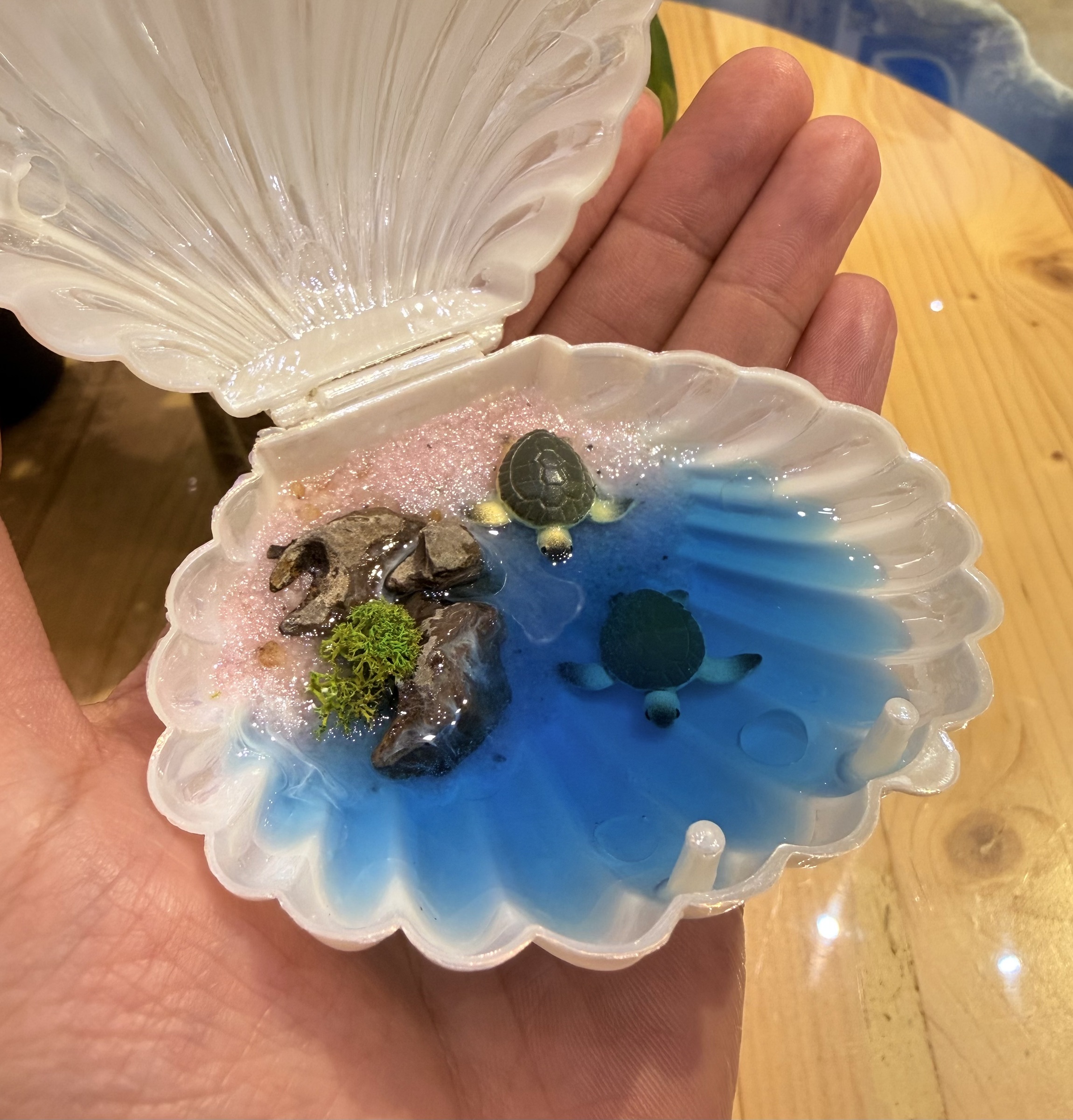 image_82FAA557-C3D5-4B1D-8D5B-BFC18912B753_1772591983