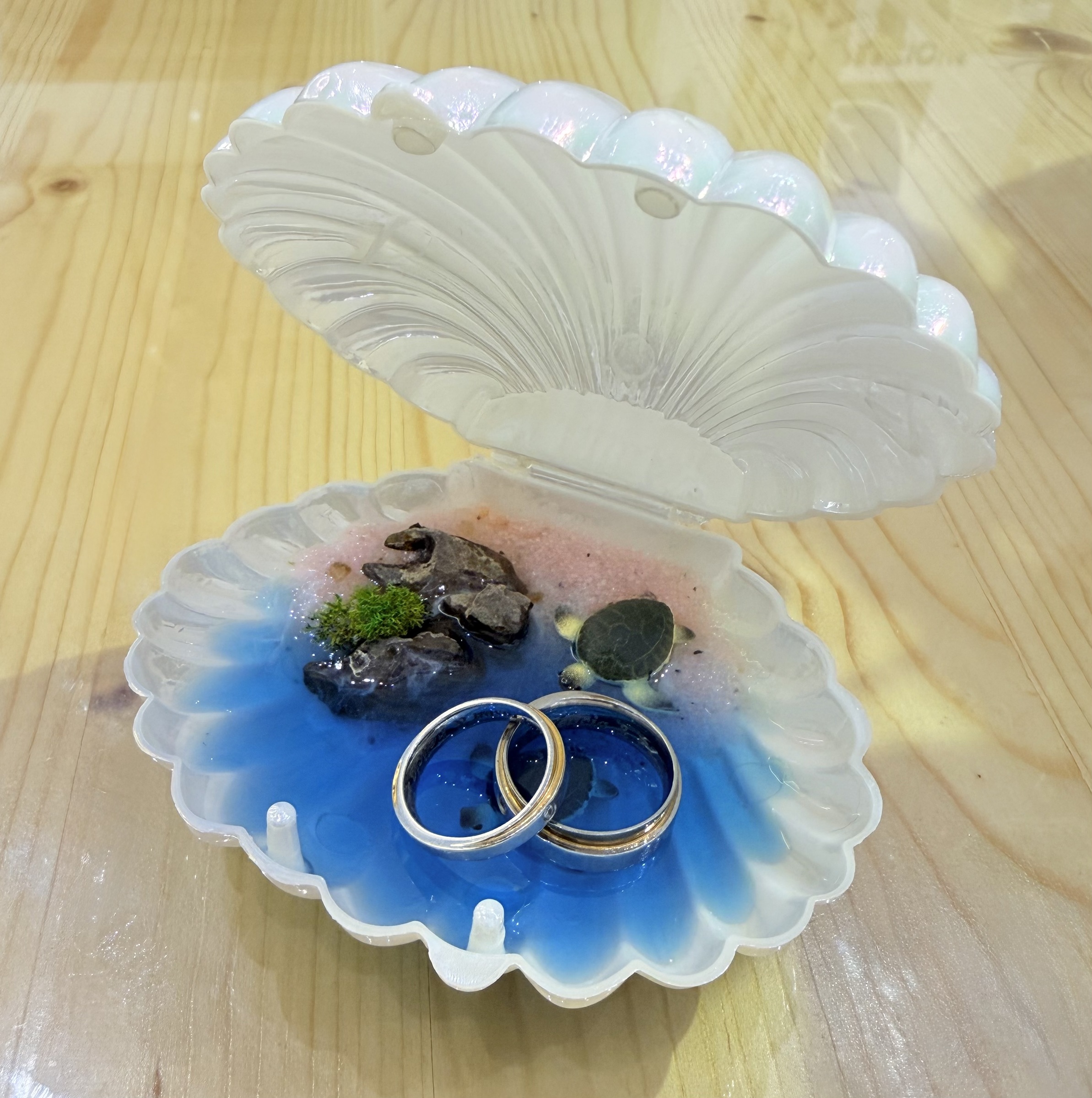 image_D29573E8-D069-43A1-8B4C-A34B44E9CA0A_1772591983