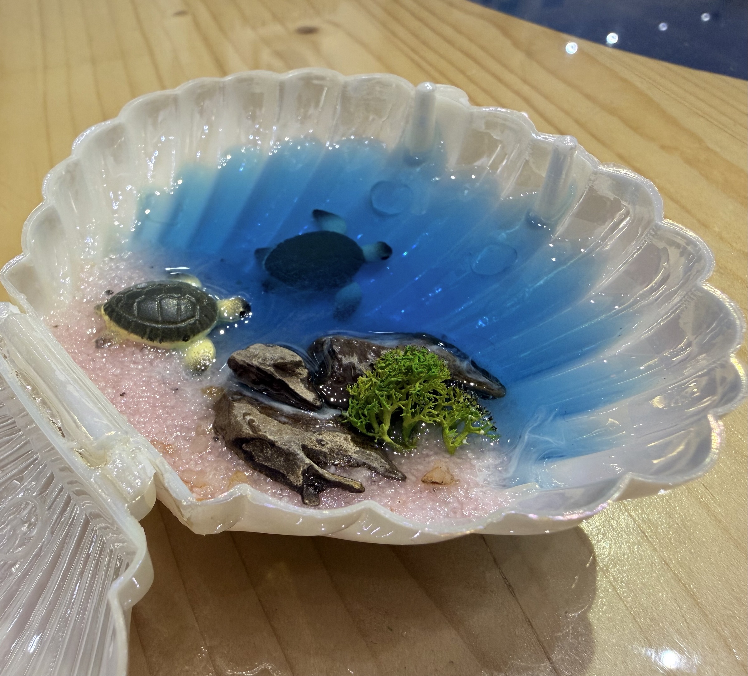 image_29F0FD34-6955-4E20-A483-5936F788571F_1772591984