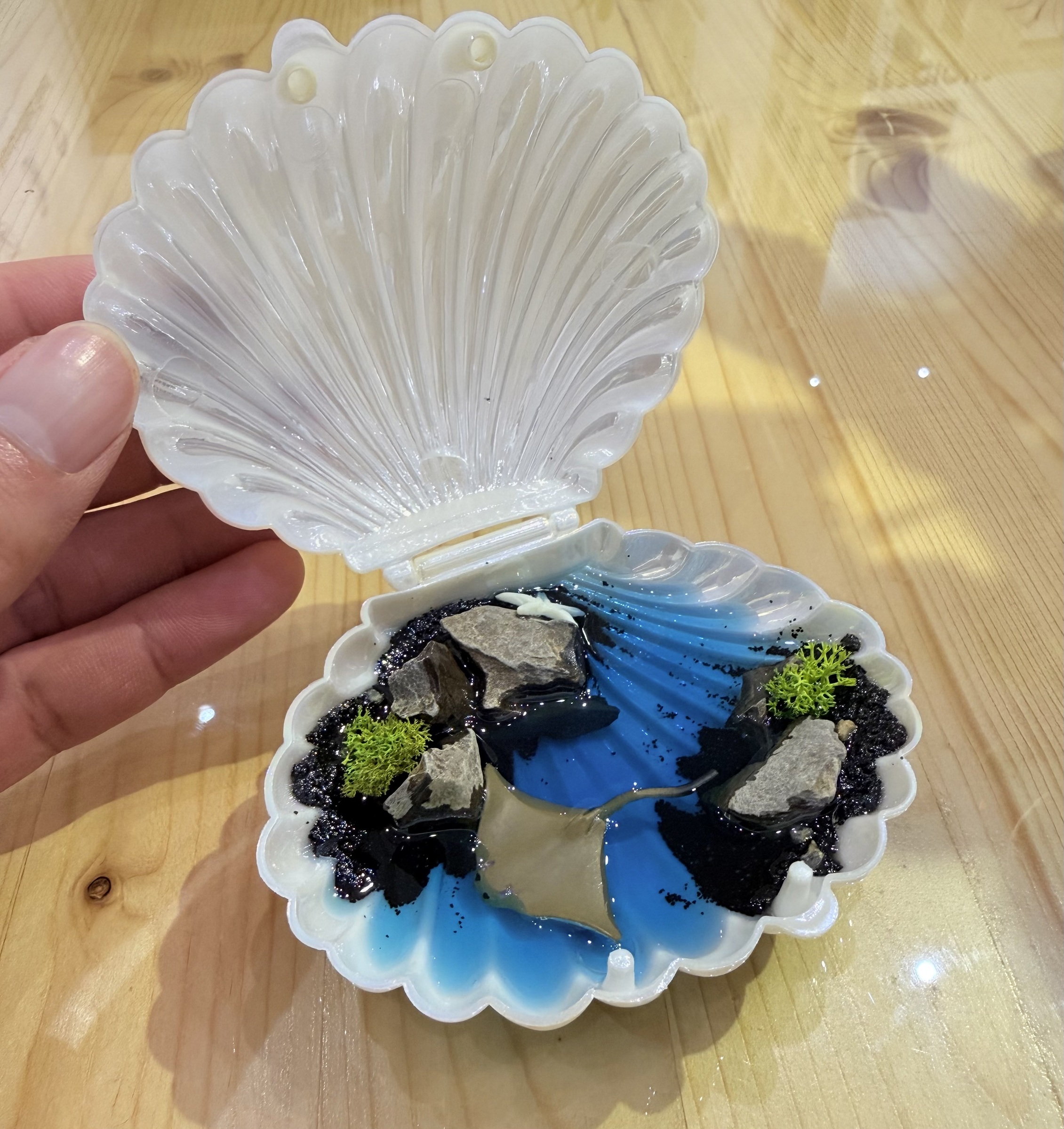 image_118CFD42-1BEB-4FA6-84C7-FD07FF067459_1772591984