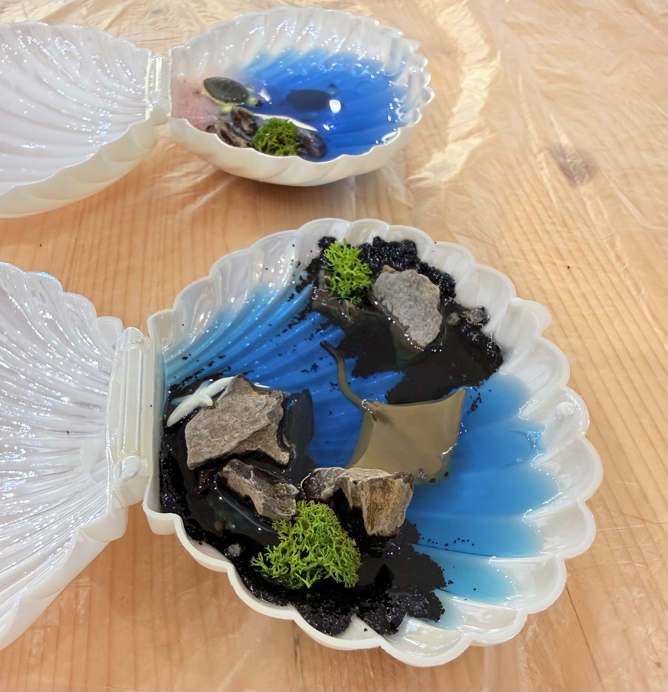 image_67FF9E43-4136-455E-A35E-667E4A083ABC_1772591984