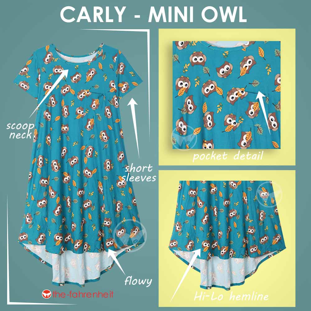 47-CARLY - MINI OWL.jpg