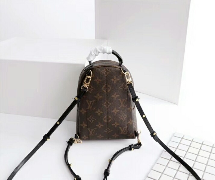 Louis Vuitton Palm Springs Mini Backpack Dupe 2858