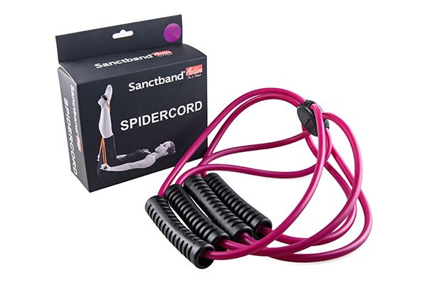 Spider purple.jpg